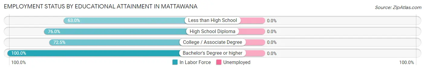 Employment Status by Educational Attainment in Mattawana