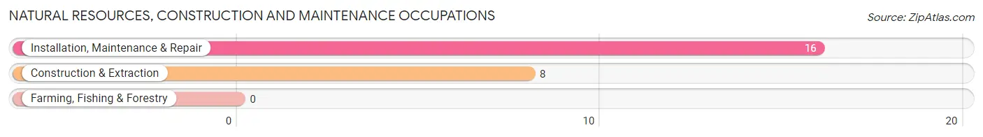 Natural Resources, Construction and Maintenance Occupations in Mattawana