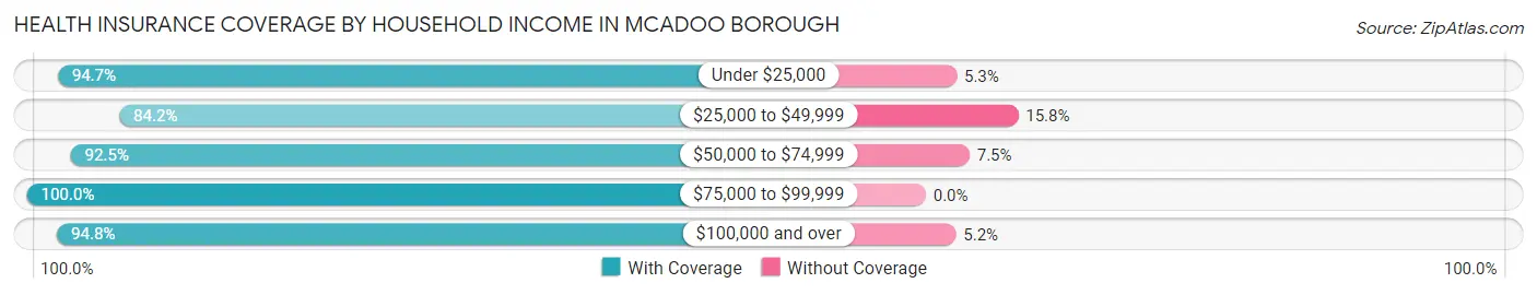 Health Insurance Coverage by Household Income in McAdoo borough