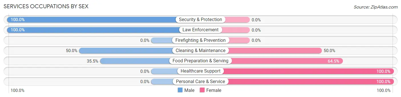 Services Occupations by Sex in McClure borough