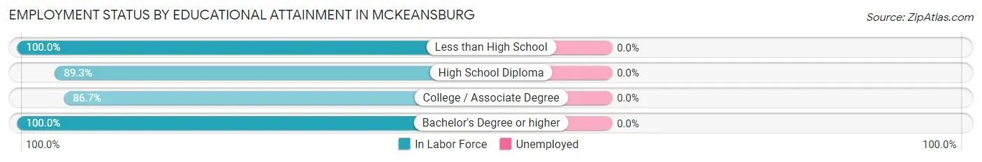 Employment Status by Educational Attainment in McKeansburg