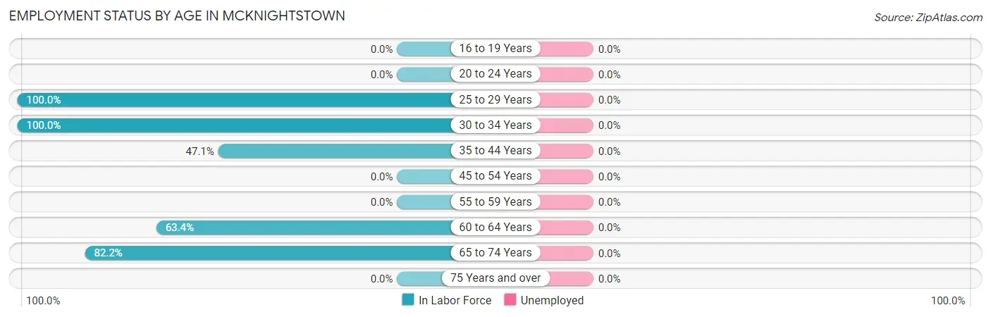 Employment Status by Age in McKnightstown