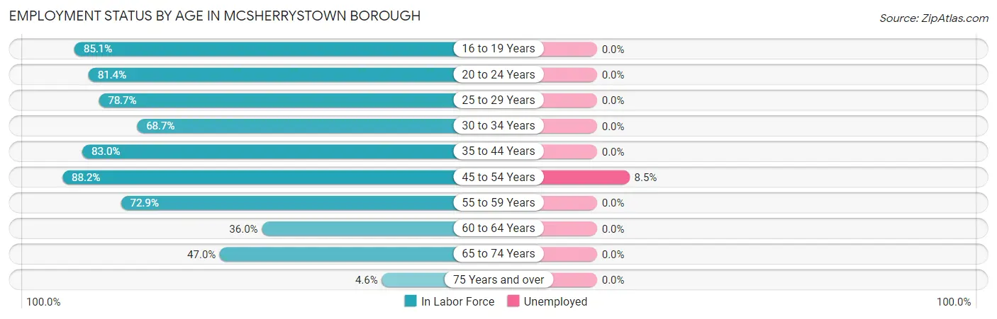 Employment Status by Age in McSherrystown borough