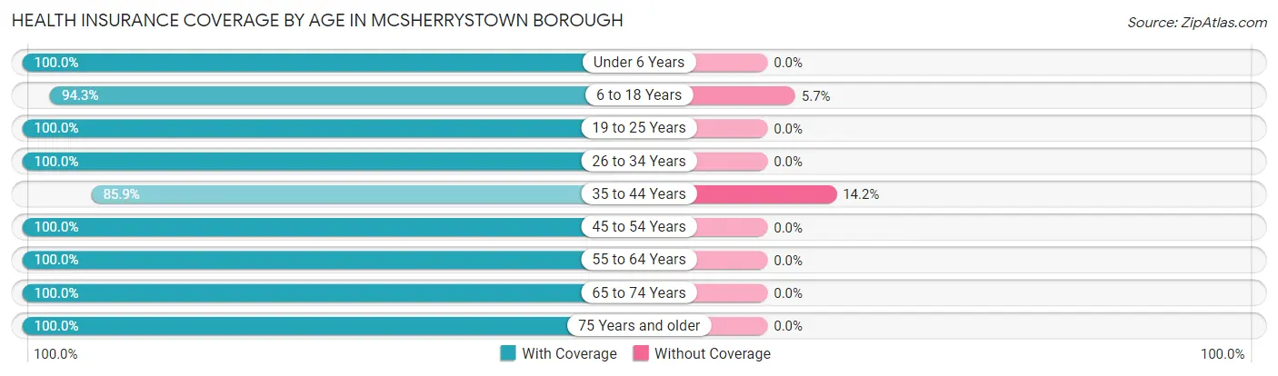 Health Insurance Coverage by Age in McSherrystown borough
