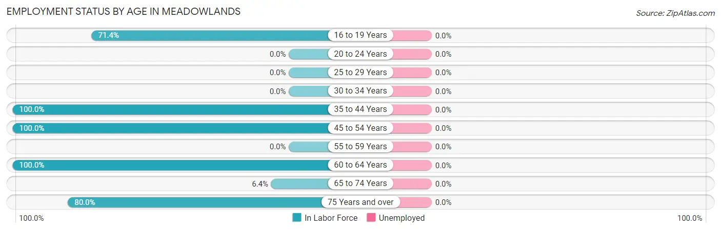 Employment Status by Age in Meadowlands