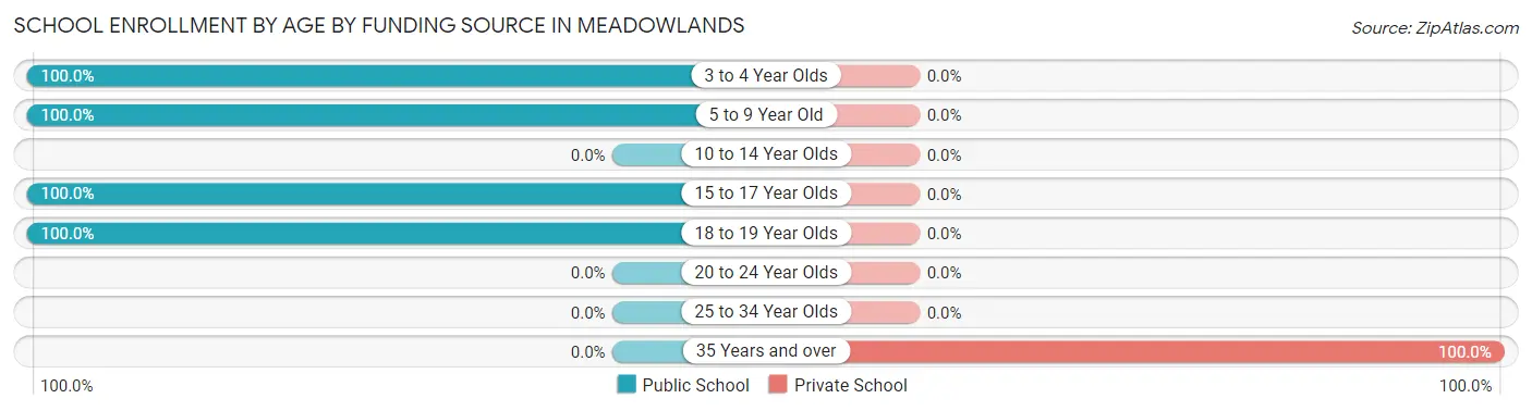 School Enrollment by Age by Funding Source in Meadowlands