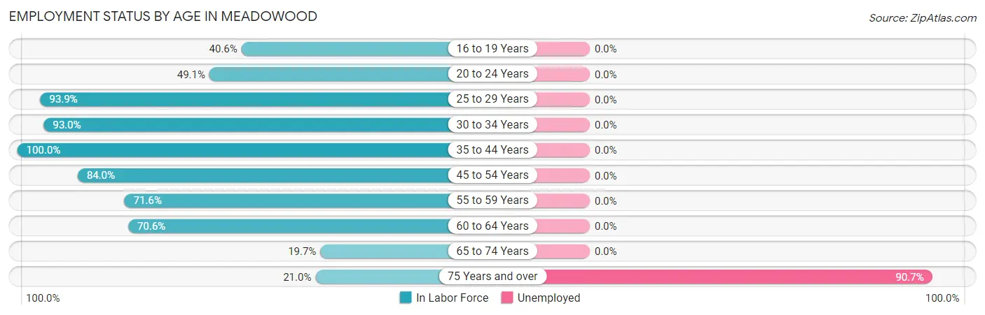Employment Status by Age in Meadowood