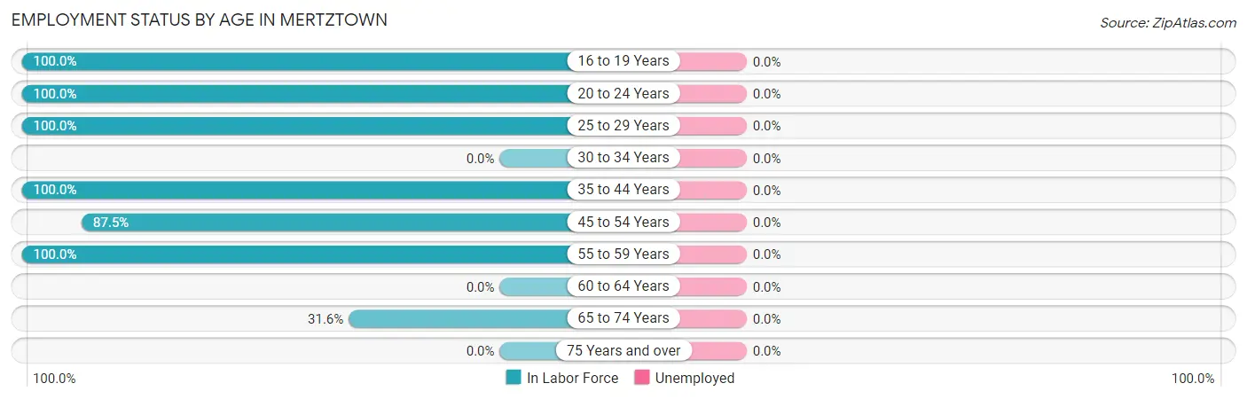 Employment Status by Age in Mertztown