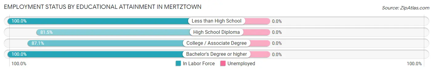 Employment Status by Educational Attainment in Mertztown