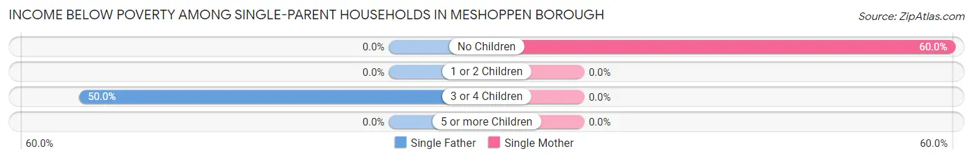 Income Below Poverty Among Single-Parent Households in Meshoppen borough