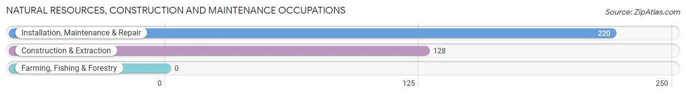 Natural Resources, Construction and Maintenance Occupations in Middletown borough