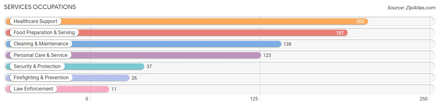 Services Occupations in Middletown borough