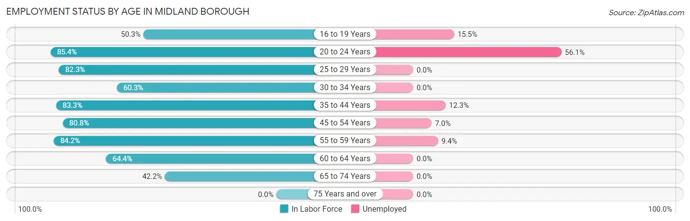 Employment Status by Age in Midland borough