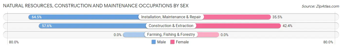 Natural Resources, Construction and Maintenance Occupations by Sex in Midland borough