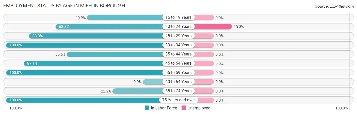 Employment Status by Age in Mifflin borough