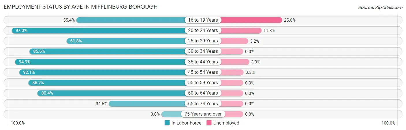 Employment Status by Age in Mifflinburg borough