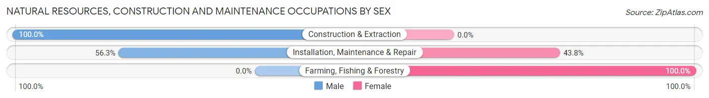 Natural Resources, Construction and Maintenance Occupations by Sex in Mifflintown borough