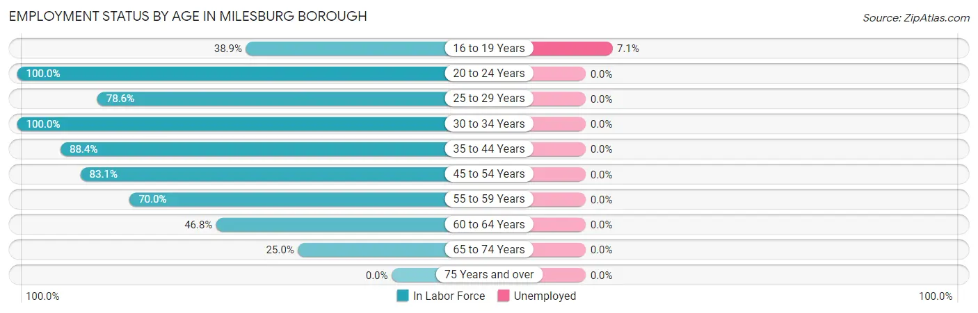 Employment Status by Age in Milesburg borough