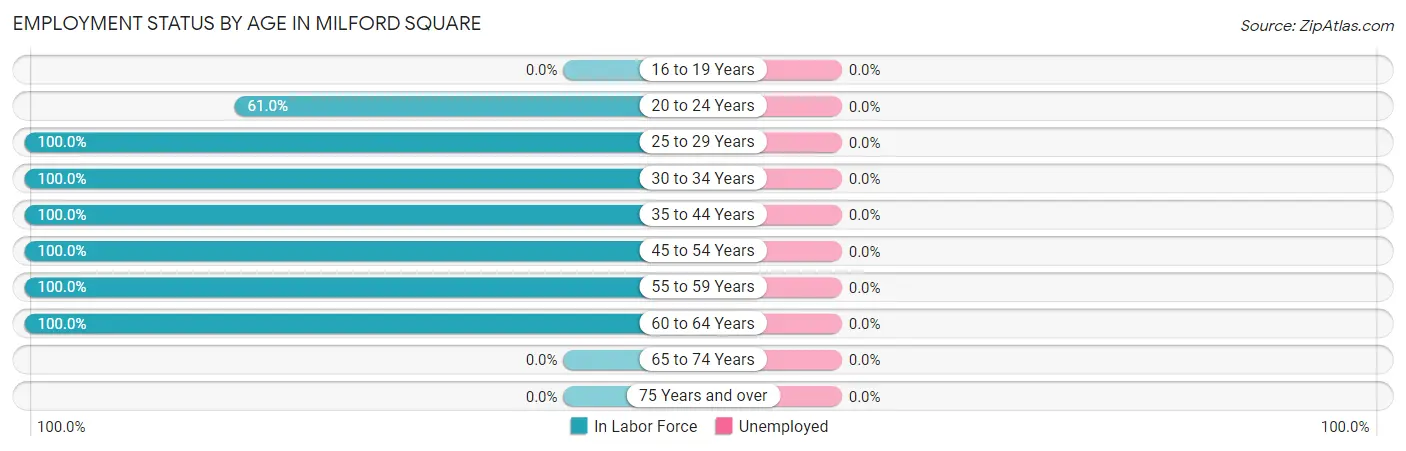 Employment Status by Age in Milford Square
