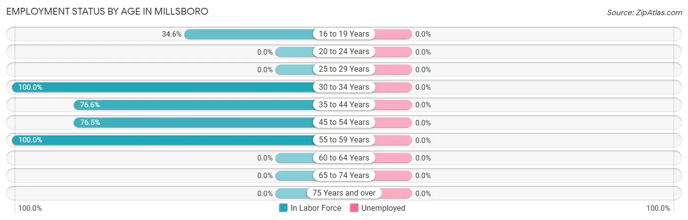 Employment Status by Age in Millsboro