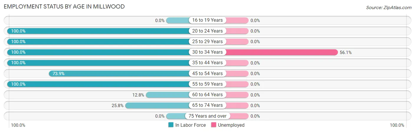 Employment Status by Age in Millwood