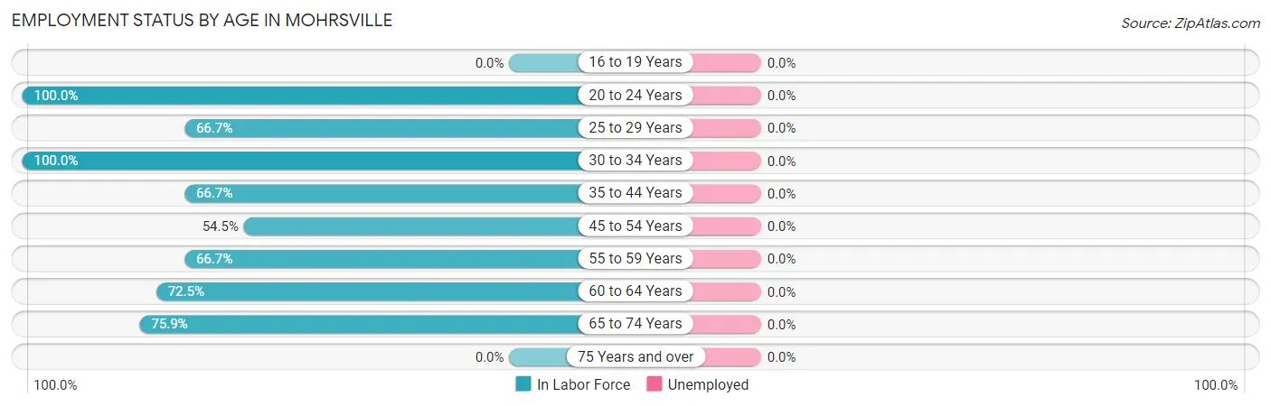 Employment Status by Age in Mohrsville