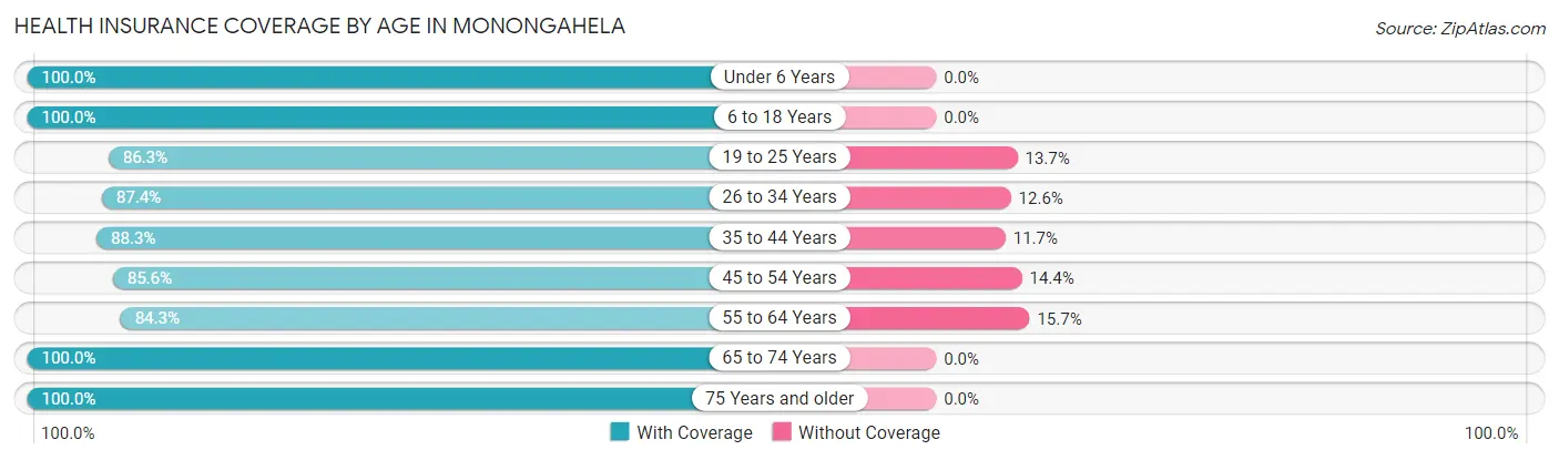 Health Insurance Coverage by Age in Monongahela