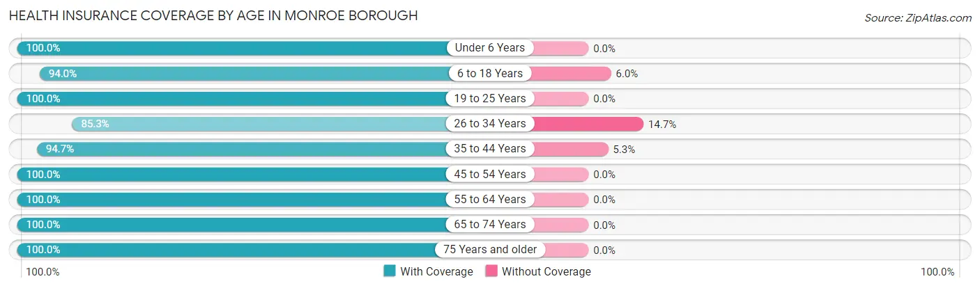 Health Insurance Coverage by Age in Monroe borough