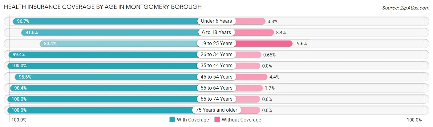 Health Insurance Coverage by Age in Montgomery borough