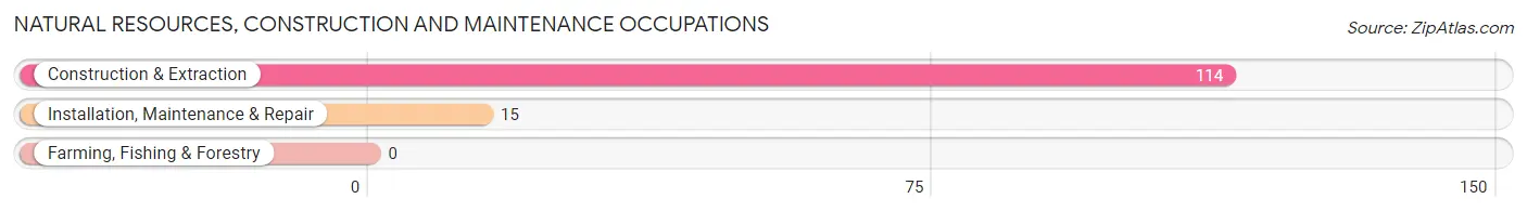 Natural Resources, Construction and Maintenance Occupations in Montoursville borough