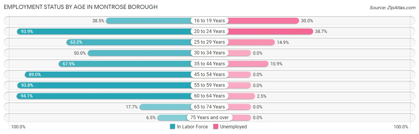Employment Status by Age in Montrose borough