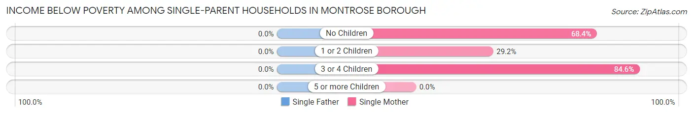 Income Below Poverty Among Single-Parent Households in Montrose borough