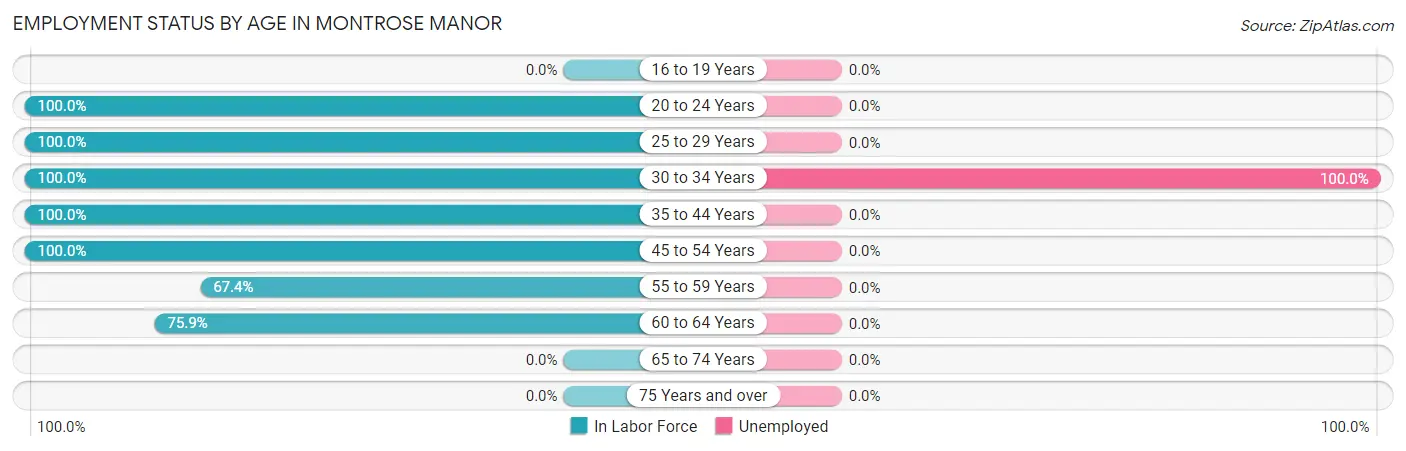 Employment Status by Age in Montrose Manor