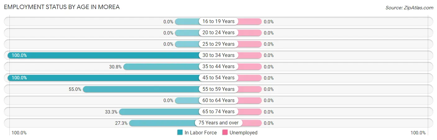 Employment Status by Age in Morea