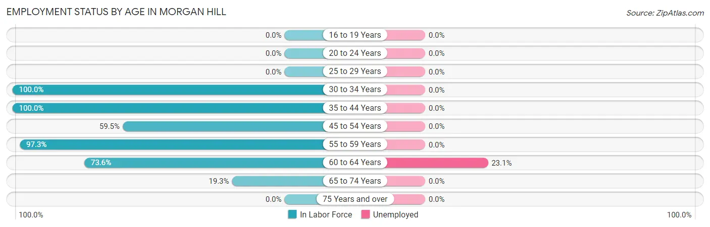 Employment Status by Age in Morgan Hill