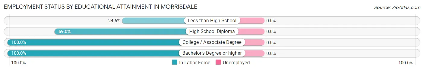 Employment Status by Educational Attainment in Morrisdale