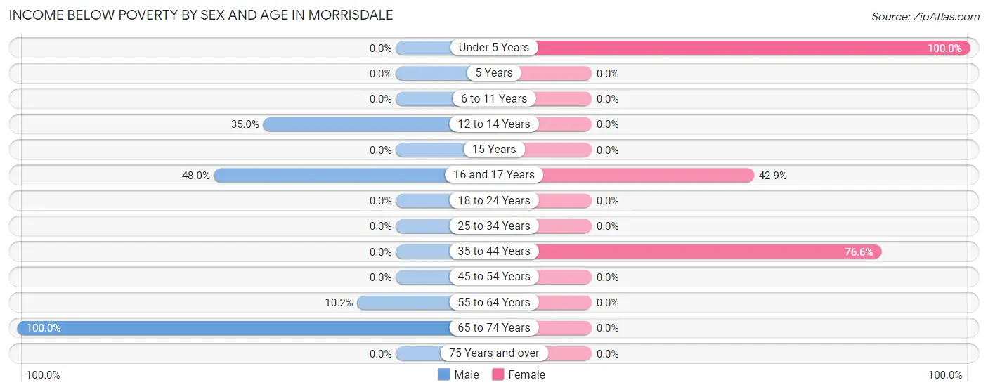 Income Below Poverty by Sex and Age in Morrisdale
