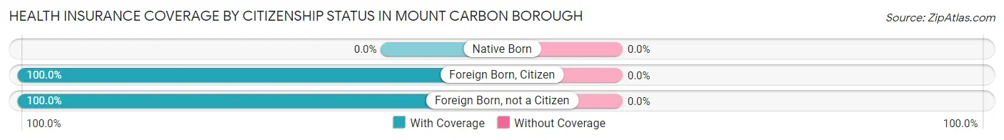 Health Insurance Coverage by Citizenship Status in Mount Carbon borough