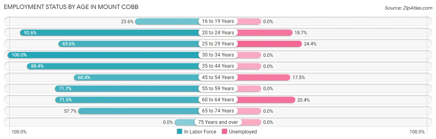 Employment Status by Age in Mount Cobb