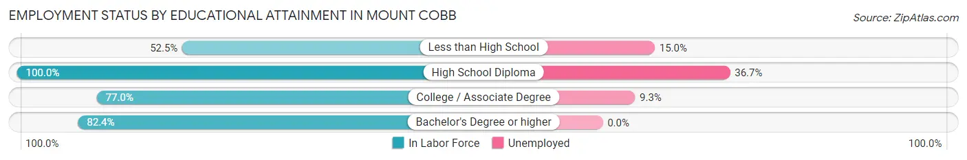 Employment Status by Educational Attainment in Mount Cobb