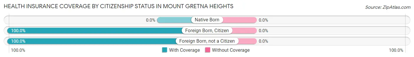 Health Insurance Coverage by Citizenship Status in Mount Gretna Heights