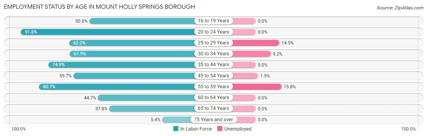 Employment Status by Age in Mount Holly Springs borough