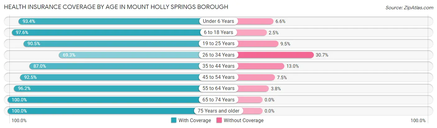 Health Insurance Coverage by Age in Mount Holly Springs borough