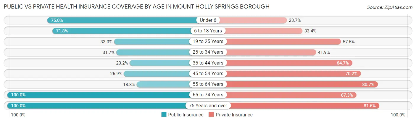 Public vs Private Health Insurance Coverage by Age in Mount Holly Springs borough