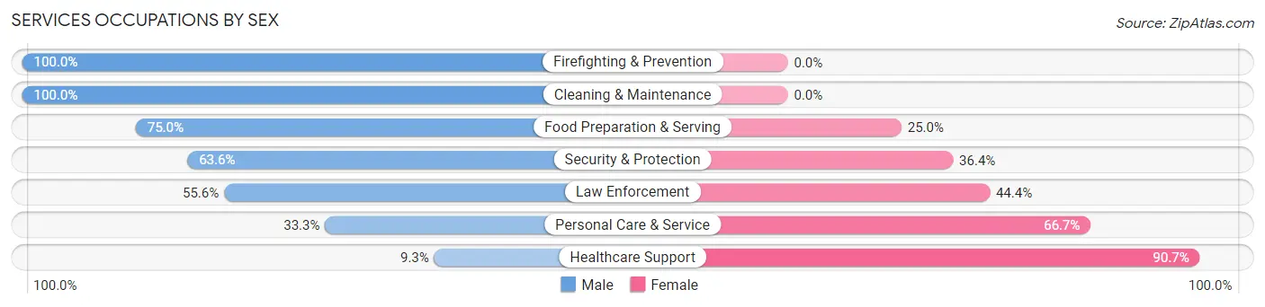 Services Occupations by Sex in Mount Jewett borough