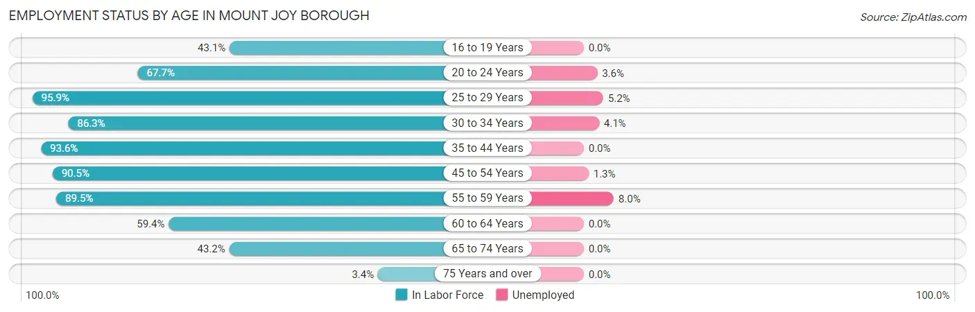 Employment Status by Age in Mount Joy borough
