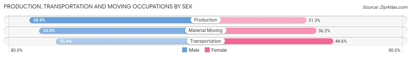 Production, Transportation and Moving Occupations by Sex in Mount Joy borough