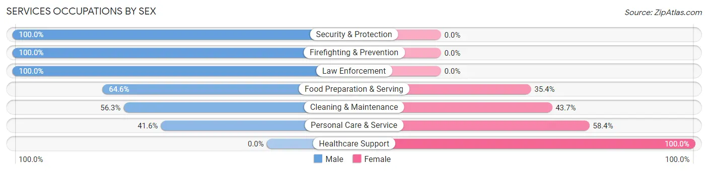 Services Occupations by Sex in Mount Joy borough