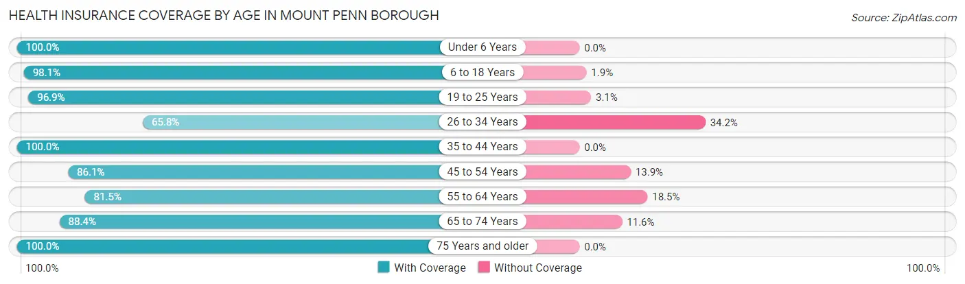 Health Insurance Coverage by Age in Mount Penn borough