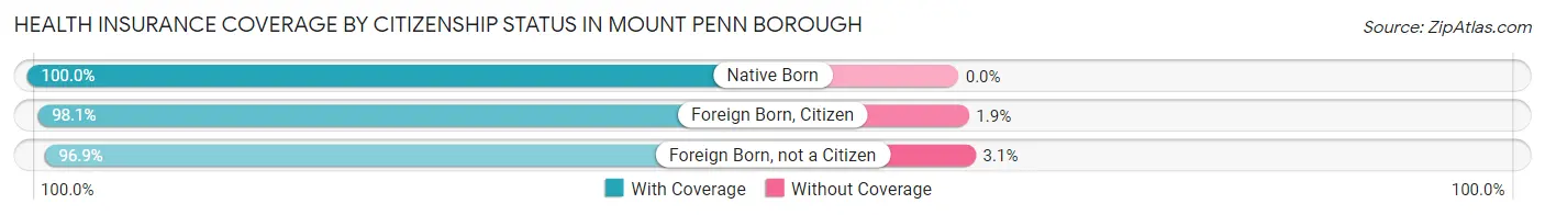 Health Insurance Coverage by Citizenship Status in Mount Penn borough